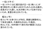 画像2: 【開運吉相表札】銘木　一位（イチイ）/桧（ヒノキ）【選べる3書体】 (2)